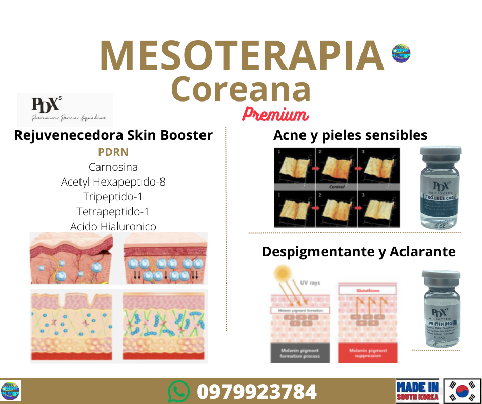 lapuroon-pdrn-rejeunesse-mesoterapia-exosomas-exoxe-pdrn-salmon-otesaly-botox-acido-hialuronico-reticulado-plasma-prp-940x788.png