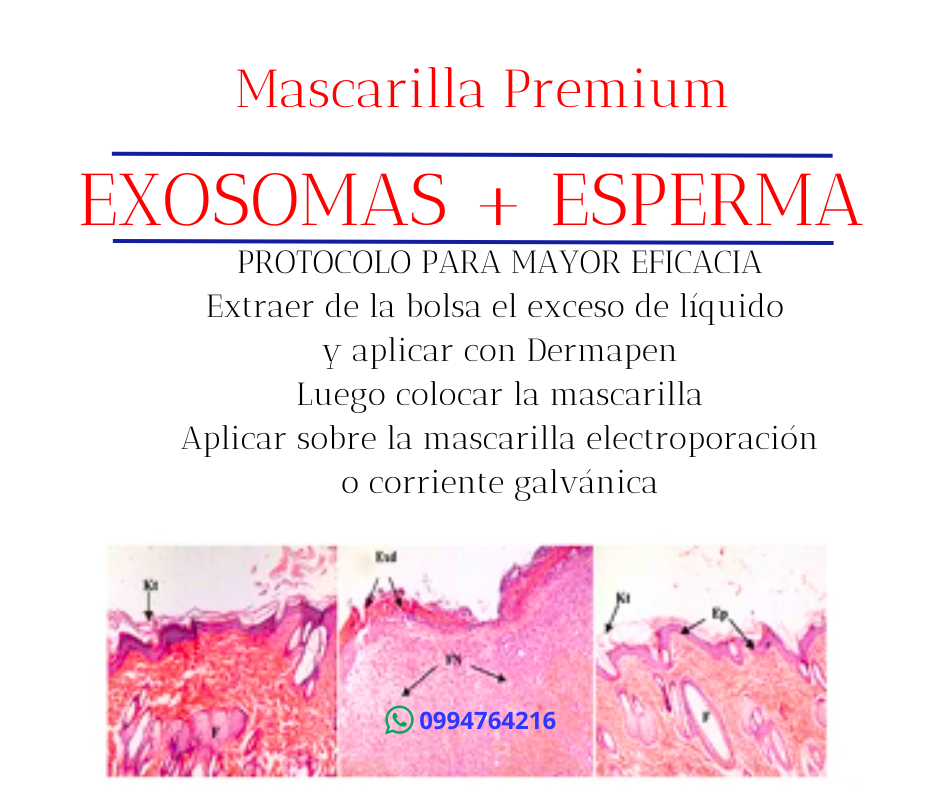 dlexo mascarilla premium exosomas y esperma de salmon ecuador 2