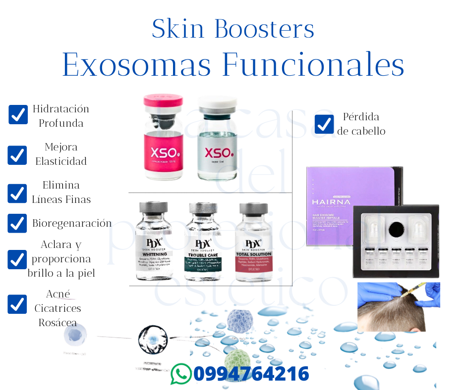 exosomas