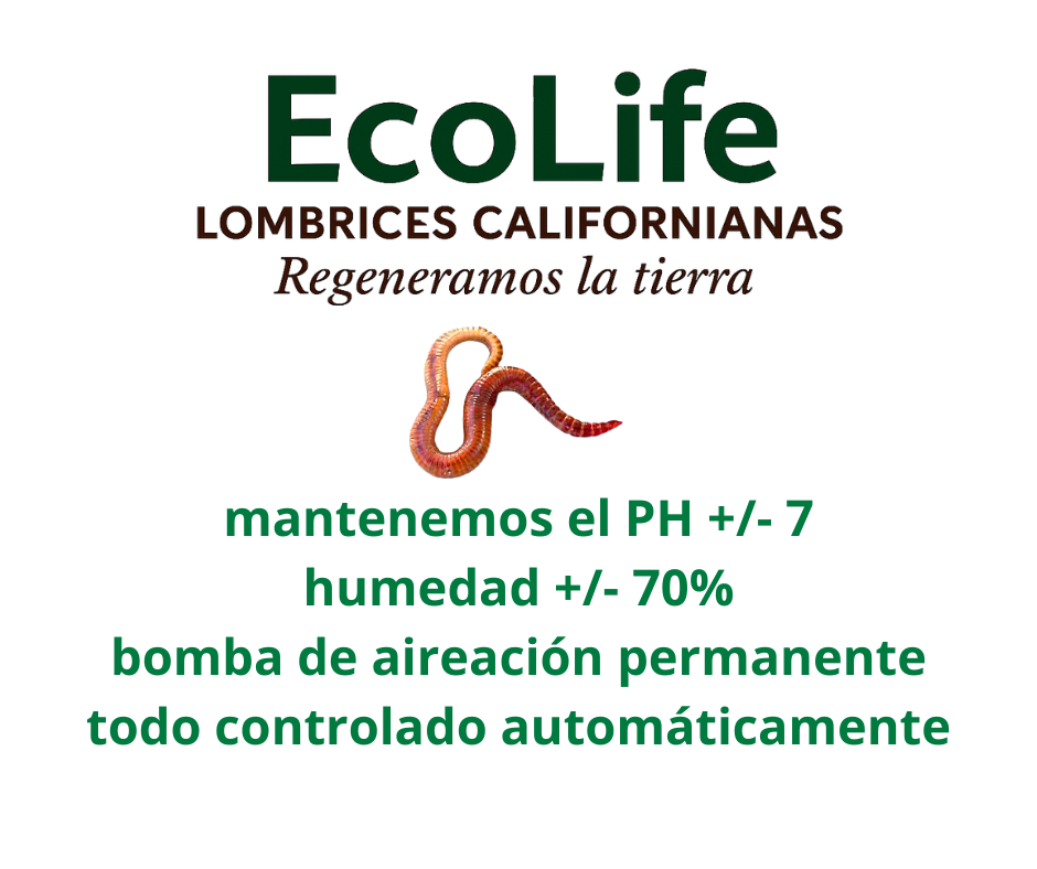 lombrices californianas humus ecuador