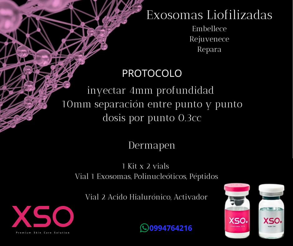 xso exosomas 4