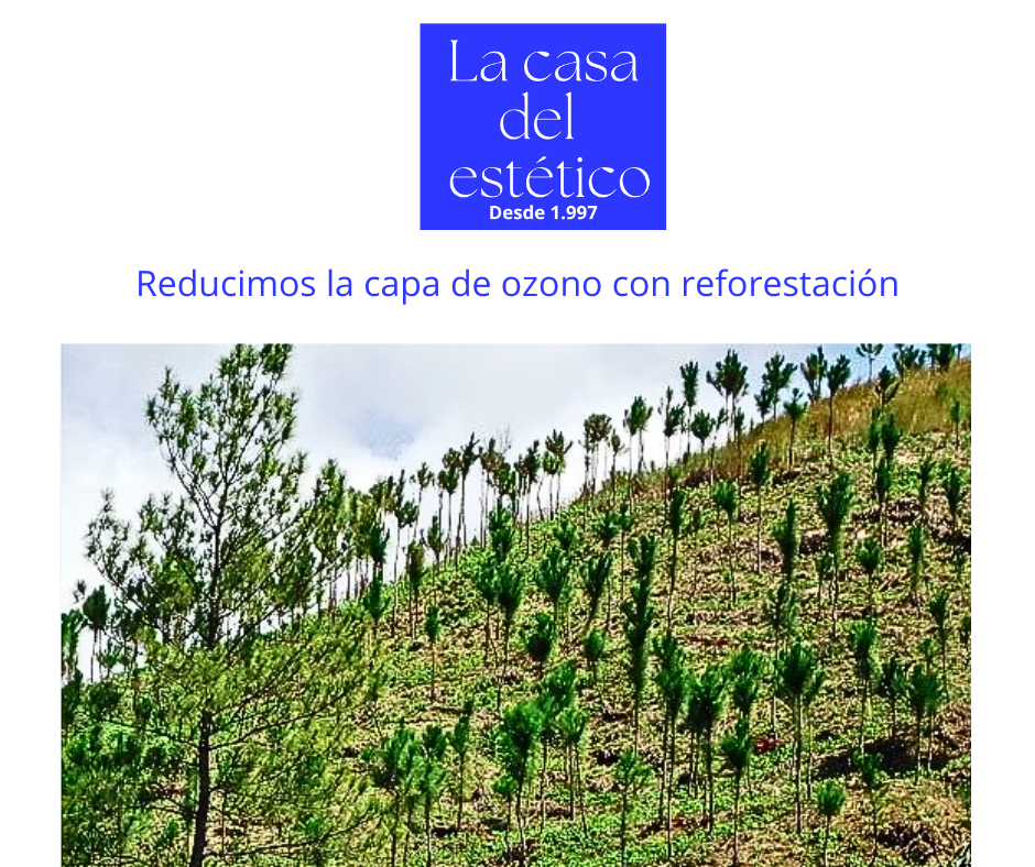 la casa del estetico