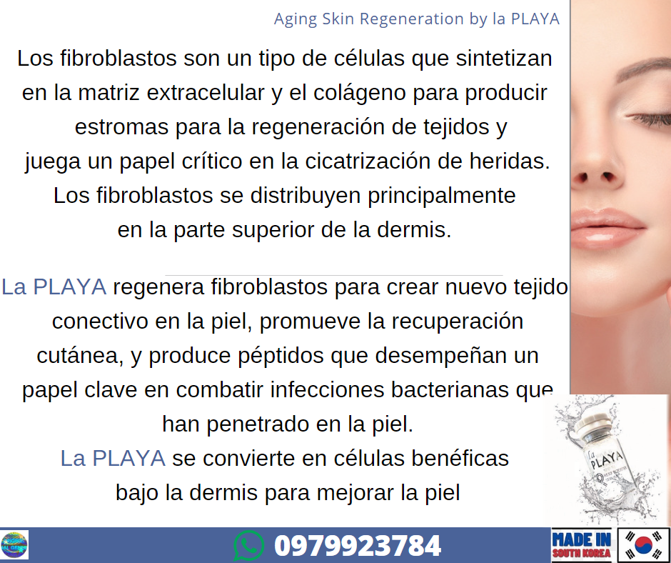 sculptra-hipla-plla-acido-poli-lactico-lapuroon-rejeunesse-liporase-enzimas-recombinantes-mccm-reductoras-exosomas-exoxe-7-940x788.png