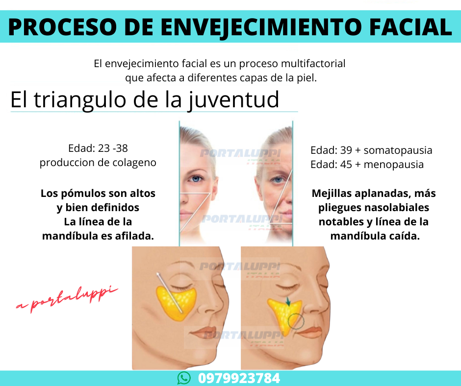 botox-portaluppi-otesaly-acido-hialuronico-hilos-colageno-espiculados-hafiller-dysport-skin-booster-toxina-botulinica-btxa-ojeras-ecuador-lima-peru-rellenos-nasogenianos-arrugas-odontologo-estetica-spa-cirugía-plastica-distribuidor-mayorista-cosmiatra-reage-xeomin-sculptra-kybella-quemadores-adelgazar-940x 788.png