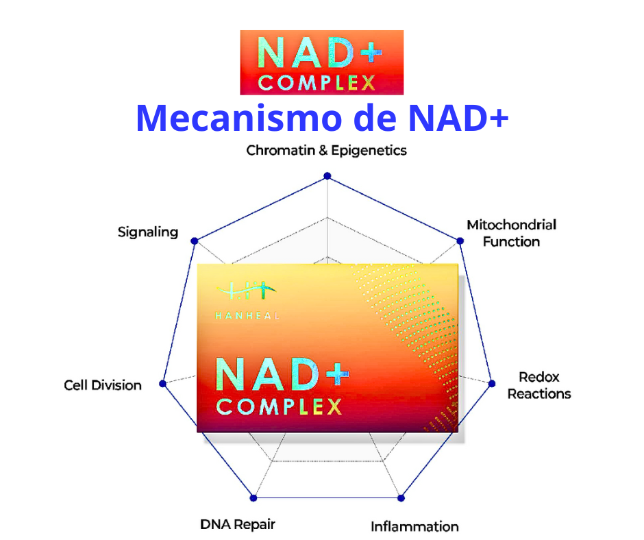 nad glutatione botox suero intravenoso ecuador 6