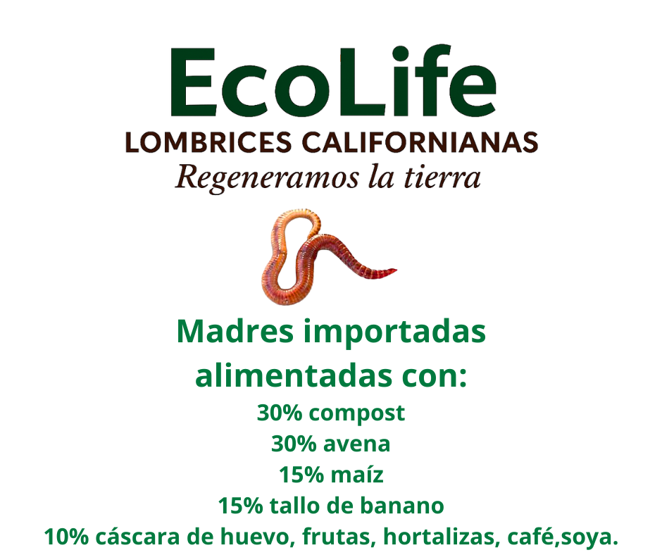 lombrices californianas humus ecuador
